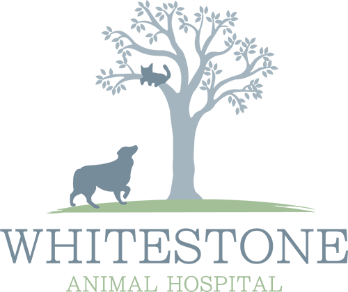 Whitestone Animal Hospital