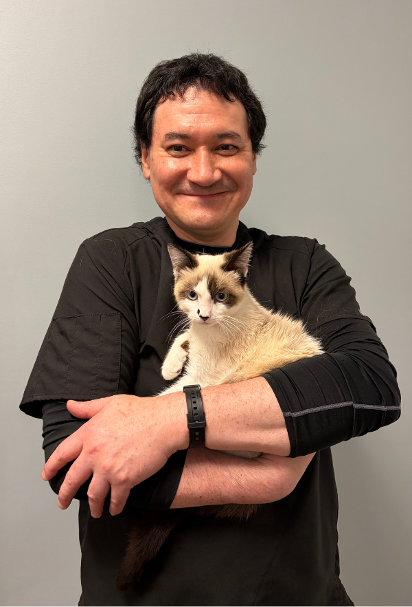 Dan